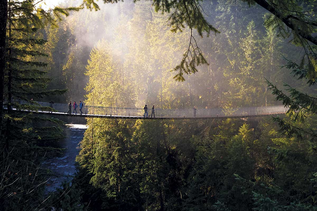 puente calipano